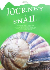 journeyofsnail
